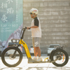 Full Suspension Electric kick Bike