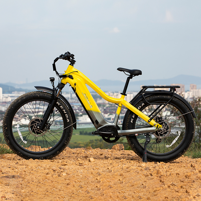JOMA electric mountain bike beach cruiser 48v dual motor e bicycle 1000w torque sensor bafang ebike