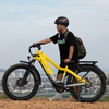 JOMA electric mountain bike beach cruiser 48v dual motor e bicycle 1000w torque sensor bafang ebike