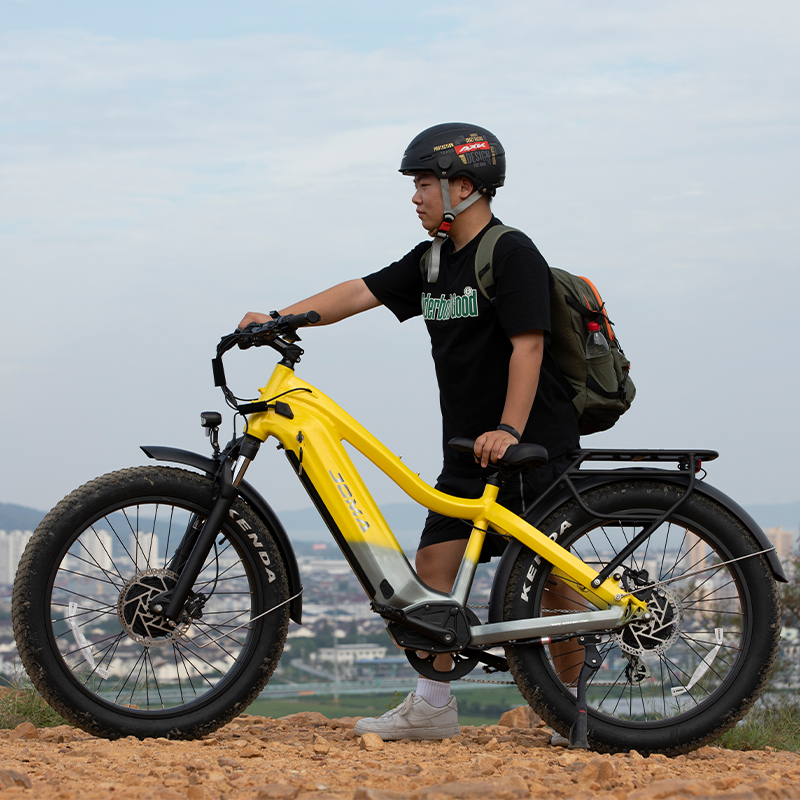 JOMA electric mountain bike beach cruiser 48v dual motor e bicycle 1000w torque sensor bafang ebike
