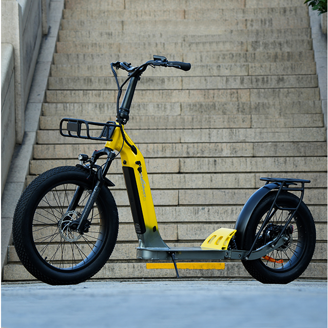 Full Suspension Electric kick Scooter
