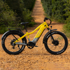 JOMA electric mountain bike beach cruiser 48v dual motor e bicycle 1000w torque sensor bafang ebike