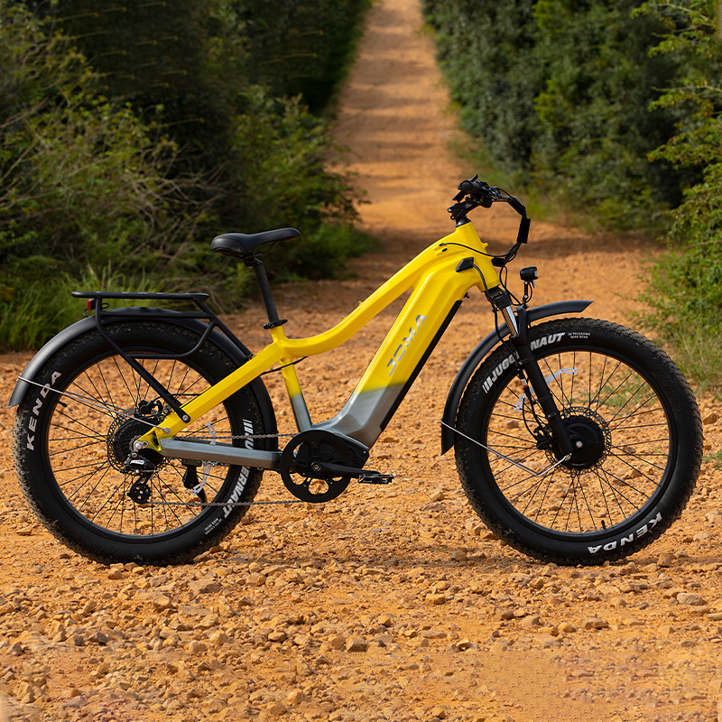 JOMA electric mountain bike beach cruiser 48v dual motor e bicycle 1000w torque sensor bafang ebike