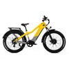 JOMA electric mountain bike beach cruiser 48v dual motor e bicycle 1000w torque sensor bafang ebike