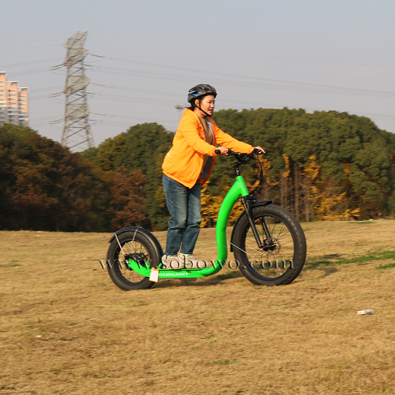 Green Electric Footbike