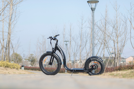 Black Electric Footbike in the park