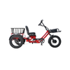 48v 750w Electric Tricycle 60KM Range 26ah Semi-recumbent E Trike—WN17 Economy