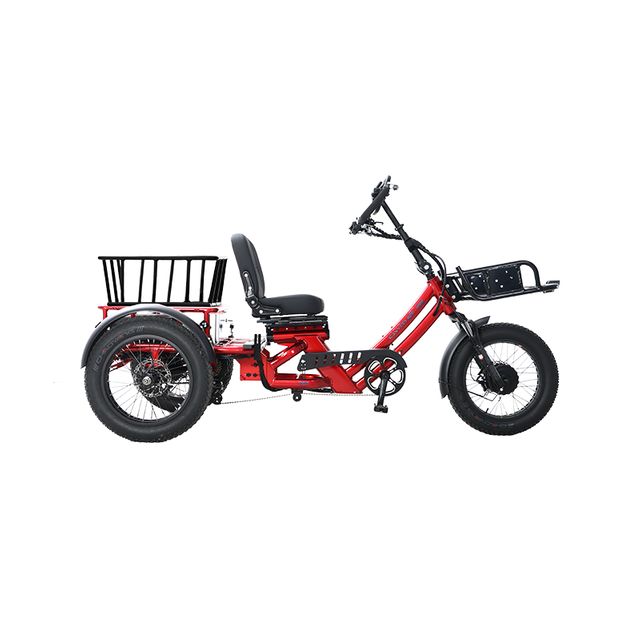 48v 1500w Dual Motor Electric Tricycle 150KM Long Range 60ah Semi-recumbent E Trike—WN17 Luxury