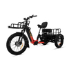 48v torque sensor 3 wheel cargo electric bike 2500w dual motor tricycle electric bike 24 inch kenda etrike -polar bear
