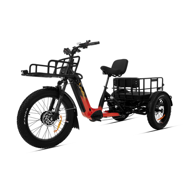 48v torque sensor 3 wheel cargo electric bike 2500w dual motor tricycle electric bike 24 inch kenda etrike -polar bear