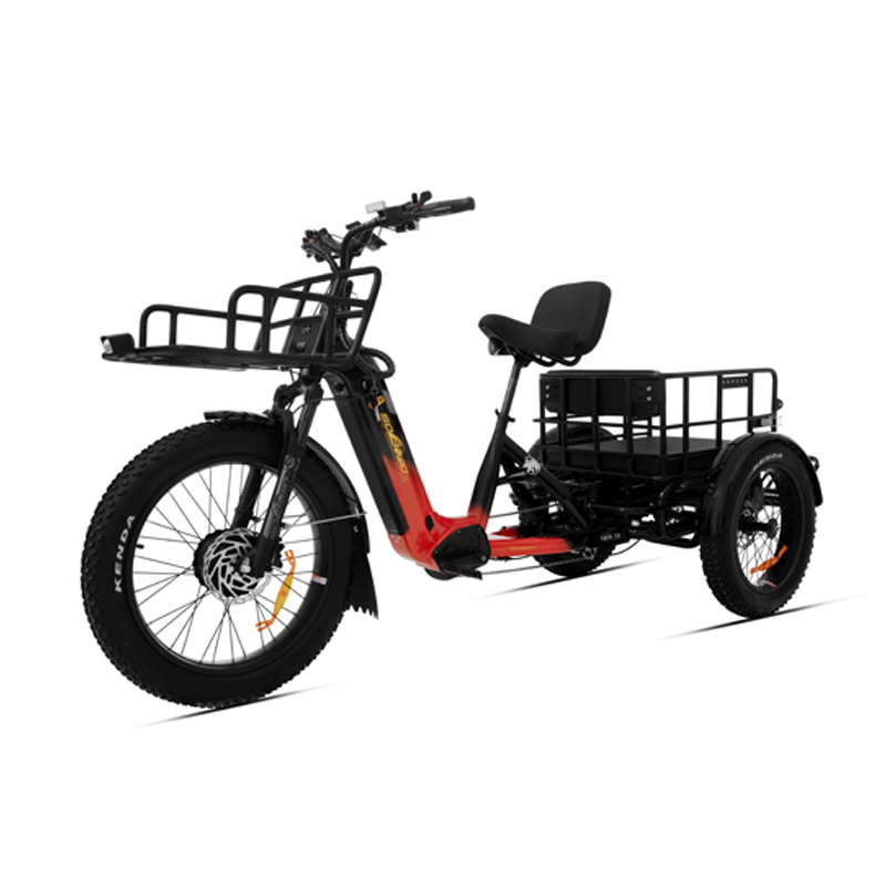 48v torque sensor 3 wheel cargo electric bike 2500w dual motor tricycle electric bike 24 inch kenda etrike -polar bear