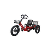 48v 750w Electric Tricycle 60KM Range 26ah Semi-recumbent E Trike—WN17 Economy