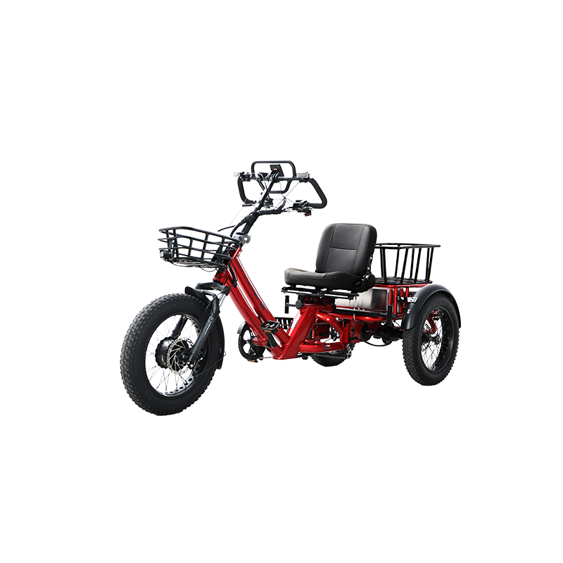 48v 750w Electric Tricycle 60KM Range 26ah Semi-recumbent E Trike—WN17 Economy