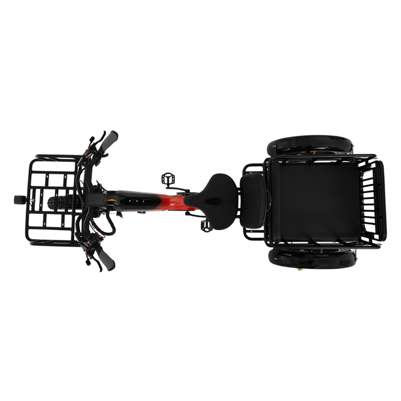 48v torque sensor 3 wheel cargo electric bike 2500w dual motor tricycle electric bike 24 inch kenda etrike -polar bear