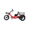 48v 750w Electric Tricycle 60KM Range 26ah Semi-recumbent E Trike—WN17 Economy