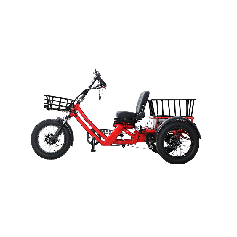 48v 750w Electric Tricycle 60KM Range 26ah Semi-recumbent E Trike—WN17 Economy