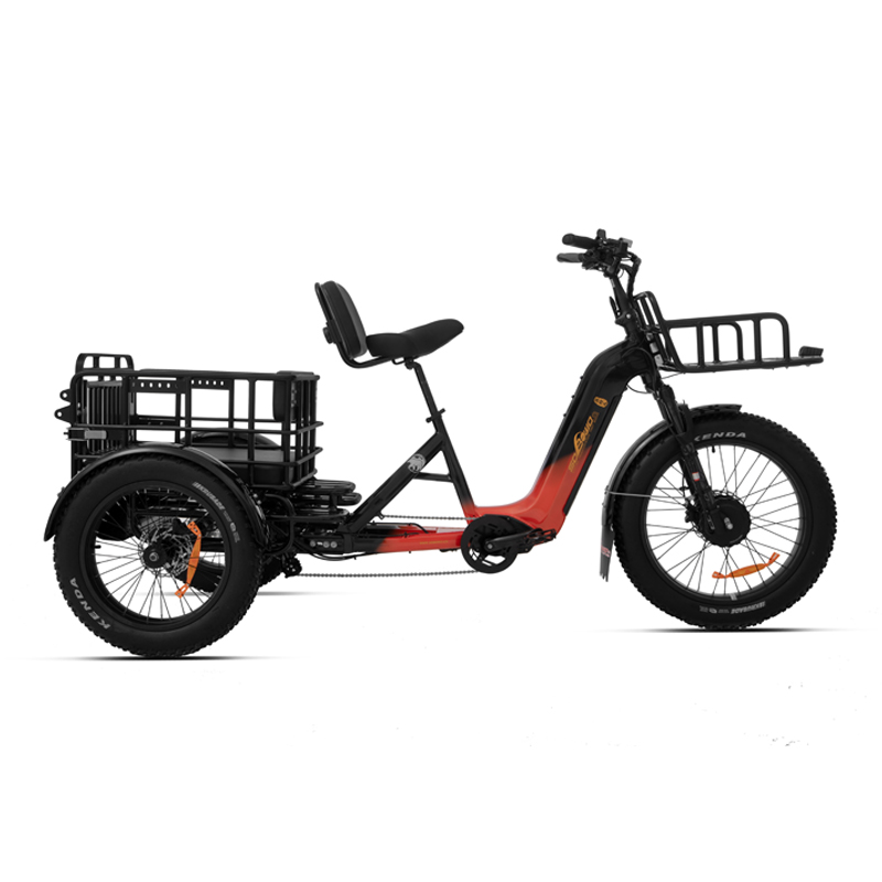 48v torque sensor 3 wheel cargo electric bike 2500w dual motor tricycle electric bike 24 inch kenda etrike -polar bear