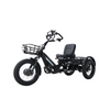 48v 2000w Dual Motor Electric Tricycle 400KM Long Range 80ah Semi-recumbent E Trike—WN18