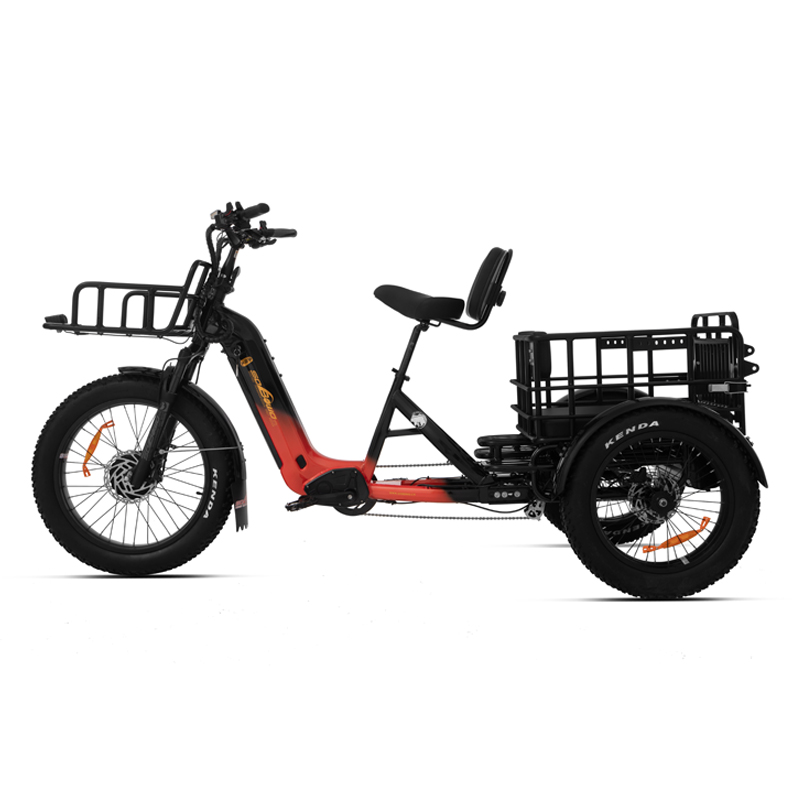 48v torque sensor 3 wheel cargo electric bike 2500w dual motor tricycle electric bike 24 inch kenda etrike -polar bear