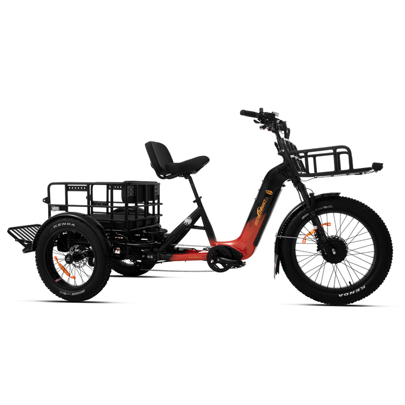 48v torque sensor 3 wheel cargo electric bike 2500w dual motor tricycle electric bike 24 inch kenda etrike -polar bear