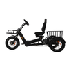 2000W 200Nm Torque 152Ah Semi-Recumbent Electric Tricycle - Sobowo Mike Cruiser 