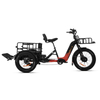 48v torque sensor 3 wheel cargo electric bike 2500w dual motor tricycle electric bike 24 inch kenda etrike -polar bear